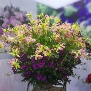 鲜花