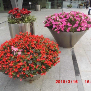 时花