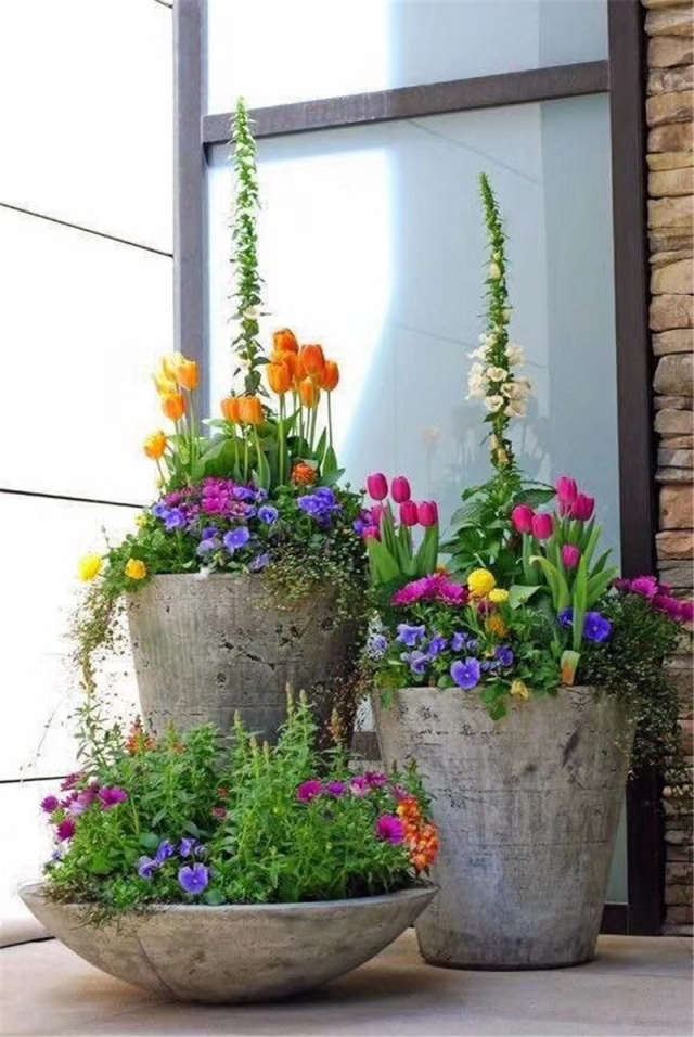 鲜花组合