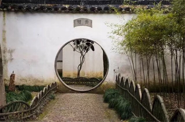 绿植