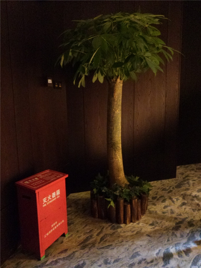 单杆发财树