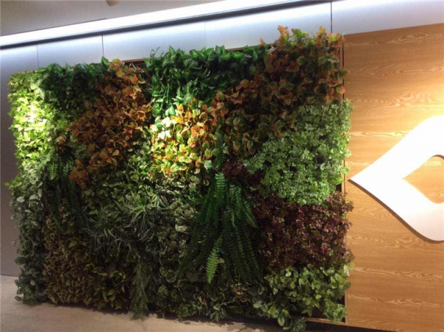 绿植背景墙