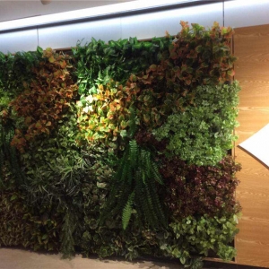 绿植背景墙