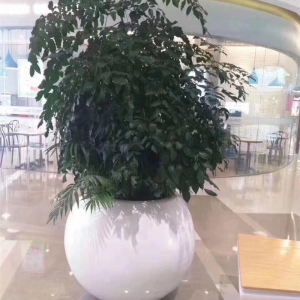 幸福树